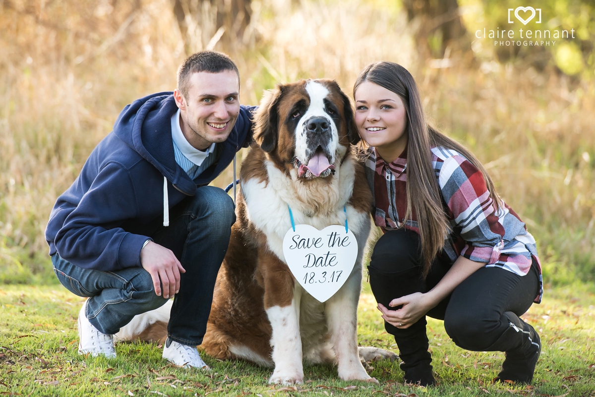 Dog pre-wedding shoot in Linlithgow!