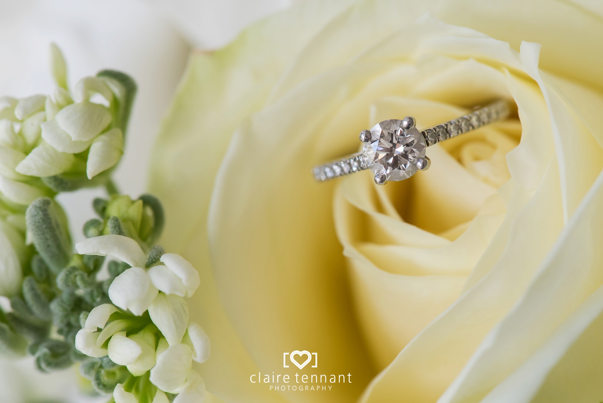 engagement ring photography