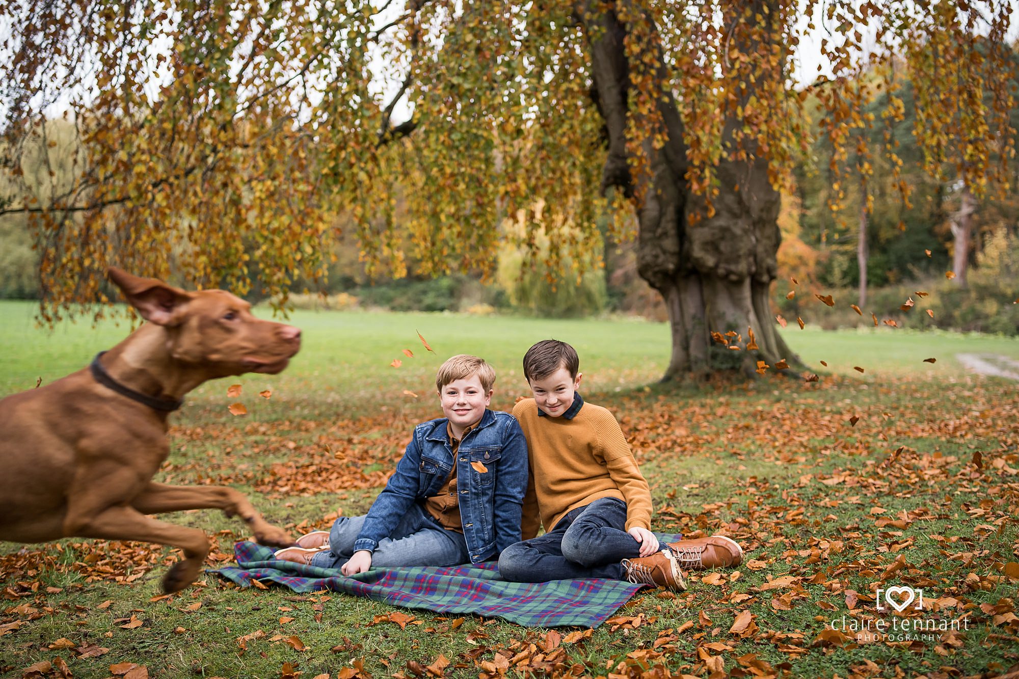 Funny Dog family photo